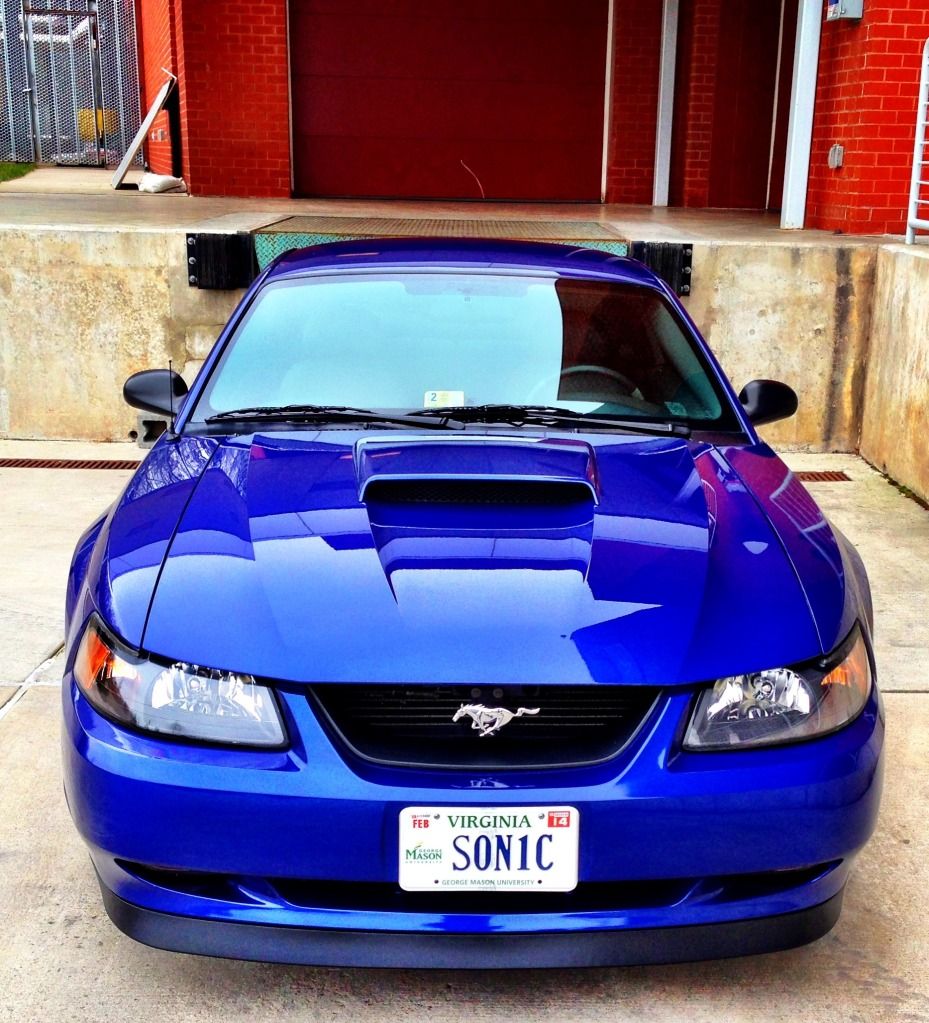 SON1C Synopsis 23 Eco Touch Premium Car Care Tire Shine Review